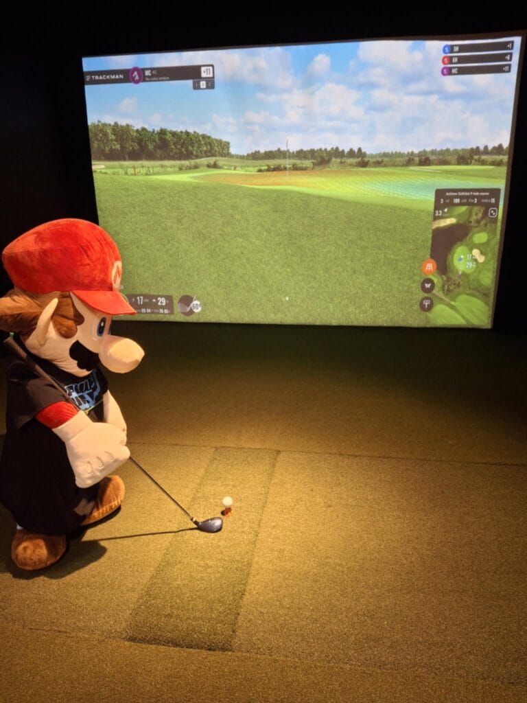 mariogolf